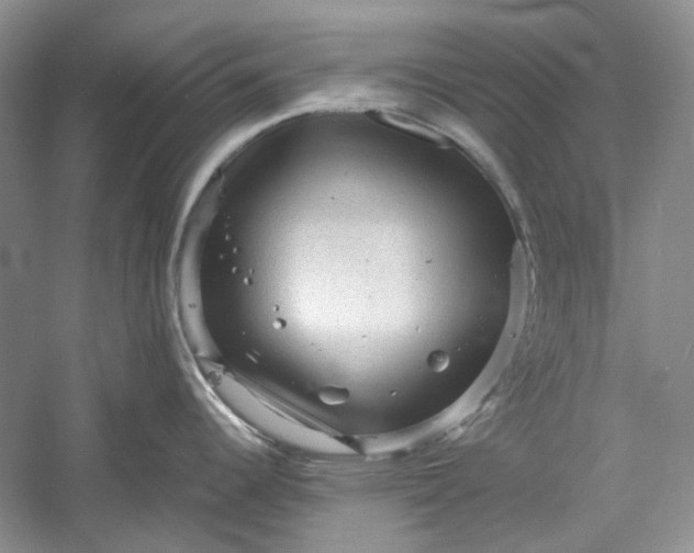 X0000060551344200511171529