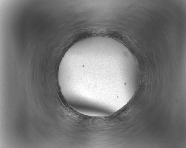 X0000060551345200511171528