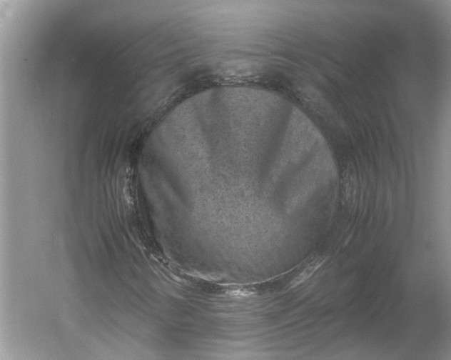 X0000060551346200511171528