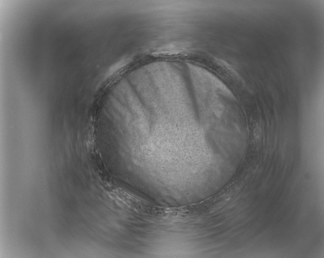 X0000060551350200511171528