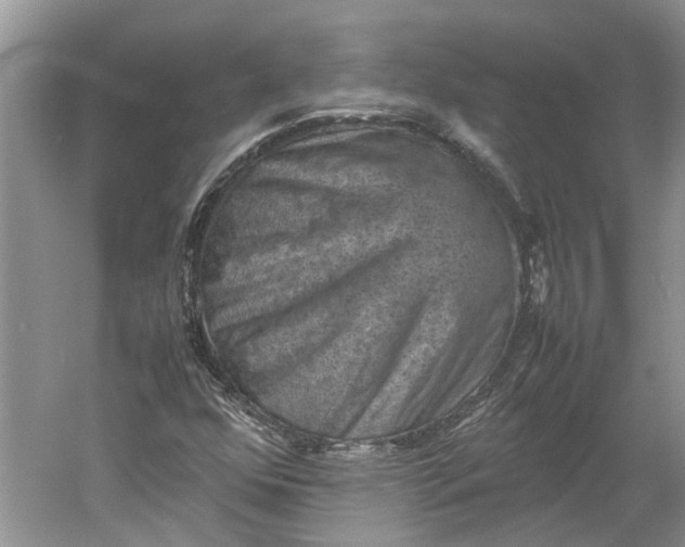 X0000060551352200511171528