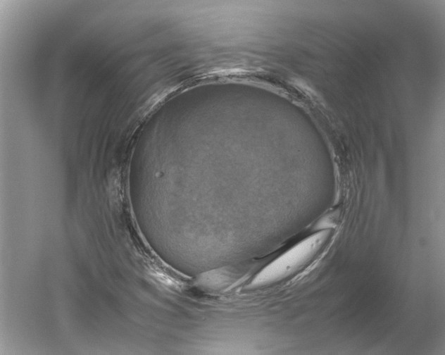 X0000060551353200511171528