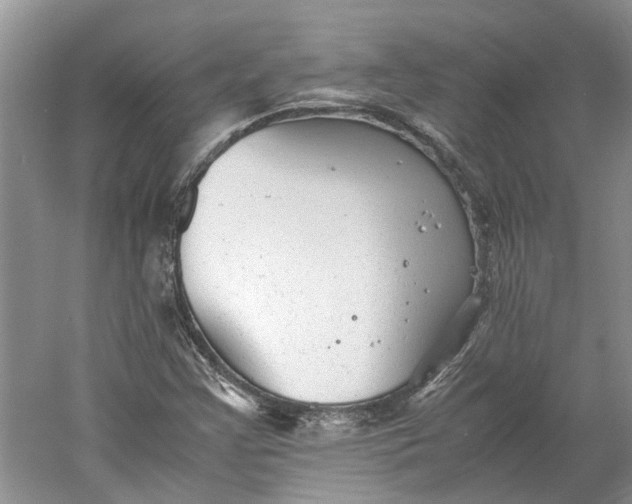 X0000060551355200511171528