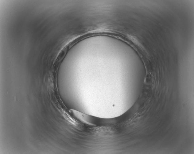 X0000060551356200511171528