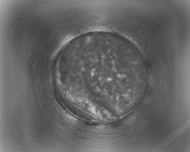 X0000060551359200511171528