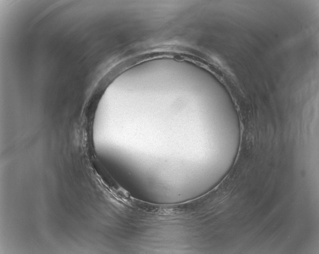 X0000060551360200511171528