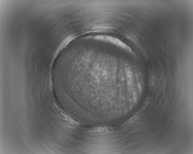 X0000060551362200511171528