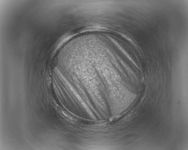 X0000060551363200511171528