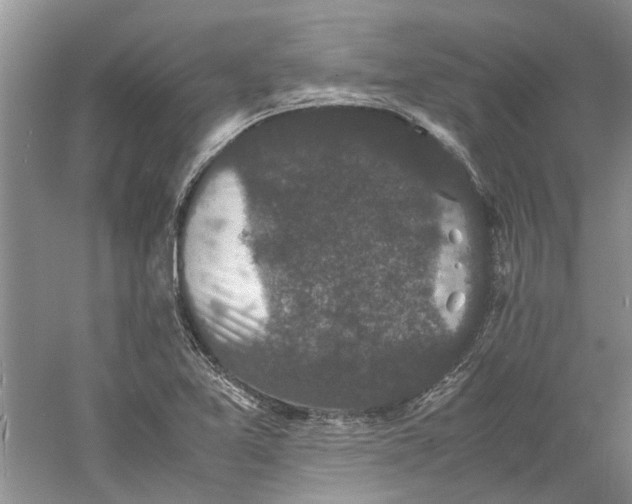 X0000060551365200511171528