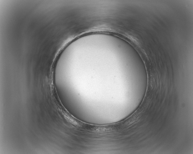 X0000060551366200511171528