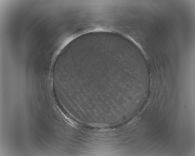 X0000060551367200511171528