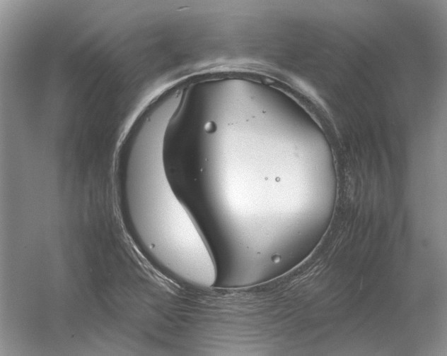 X0000060551368200511171528