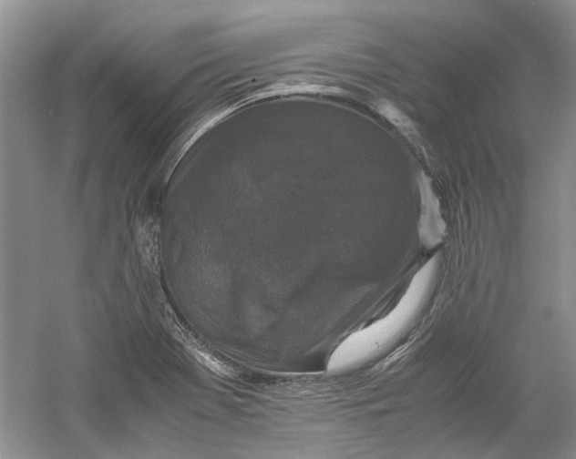 X0000060551369200511171528