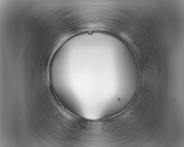 X0000060551370200511171528