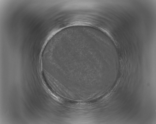 X0000060551371200511171528