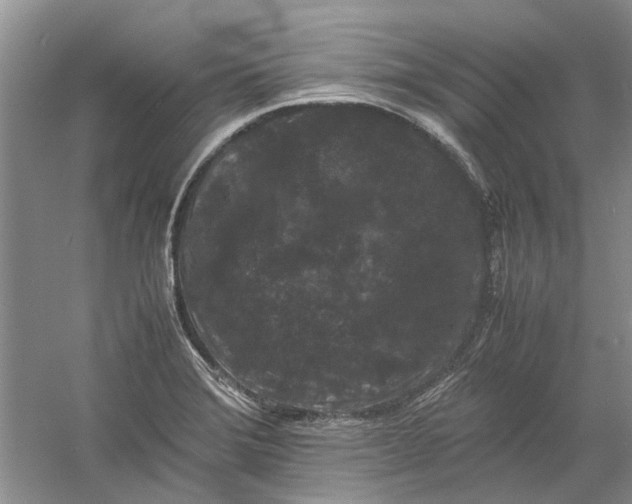 X0000060551372200511171527