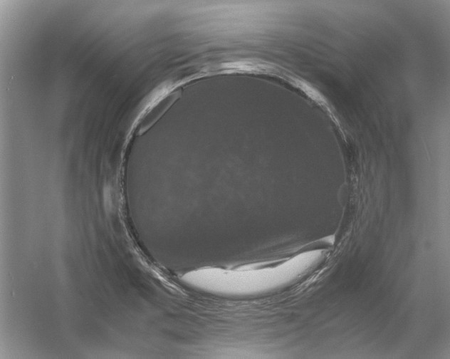 X0000060551373200511171527