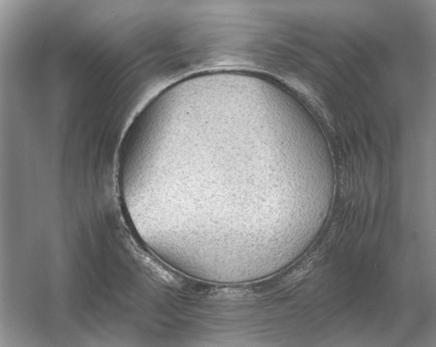 X0000060551374200511171527