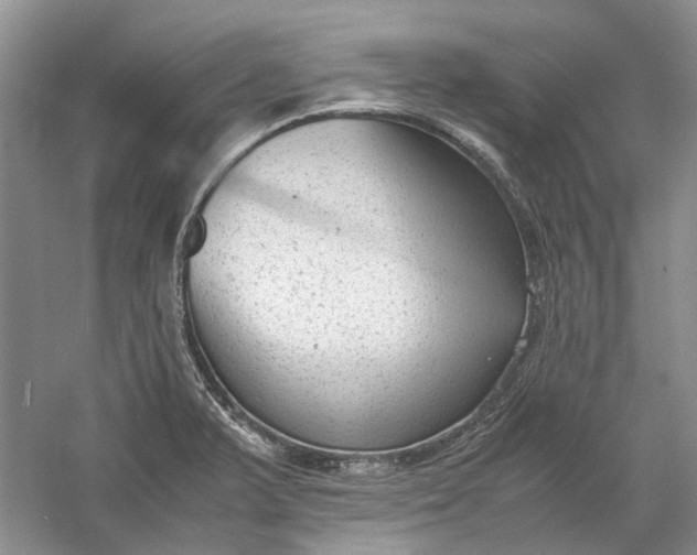 X0000060551375200511171527