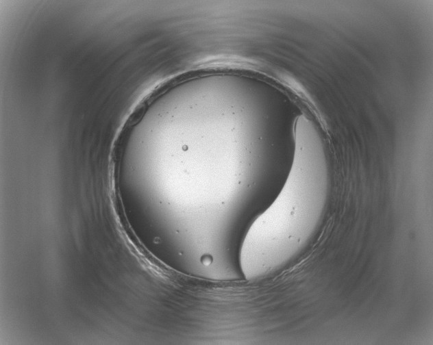 X0000060551376200511171527