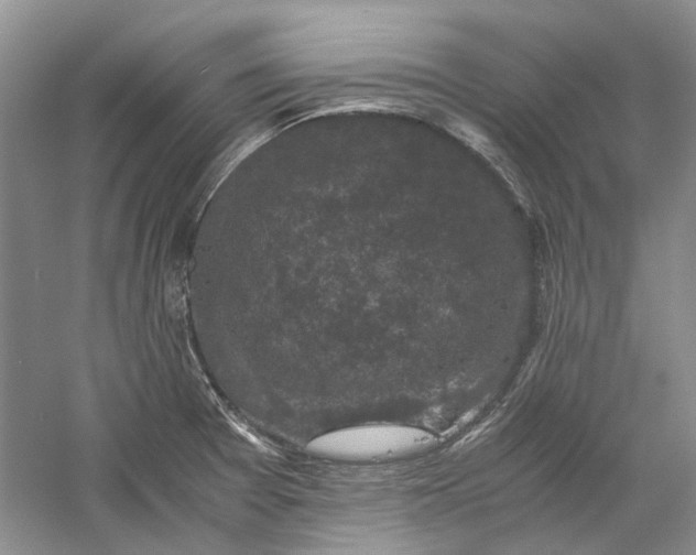 X0000060551377200511171527