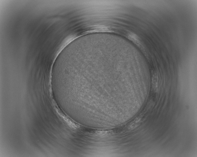 X0000060551378200511171527