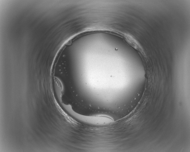 X0000060551380200511171527