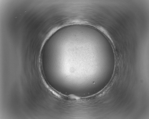 X0000060551381200511171527