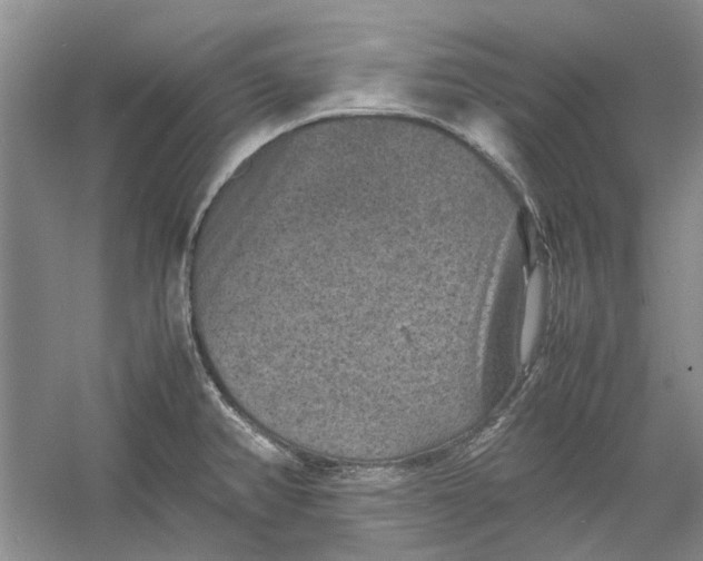 X0000060551382200511171527