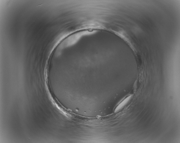 X0000060551383200511171527