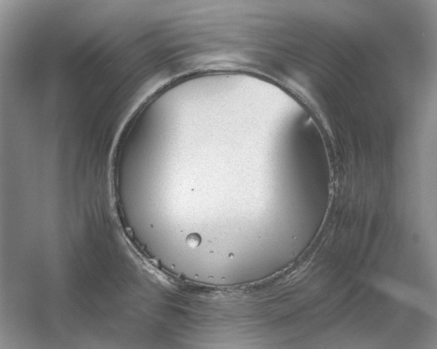 X0000060551384200511171527