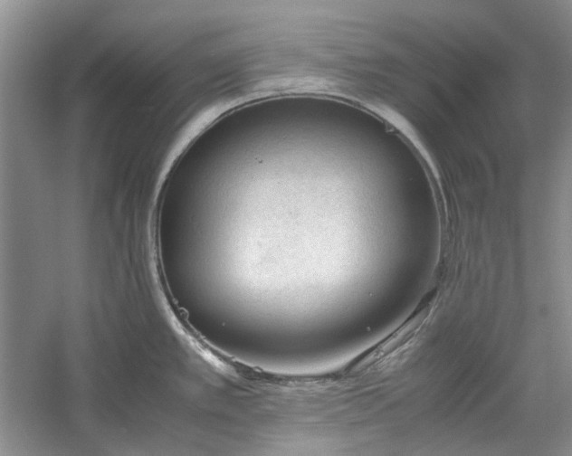 X0000060551389200511171527