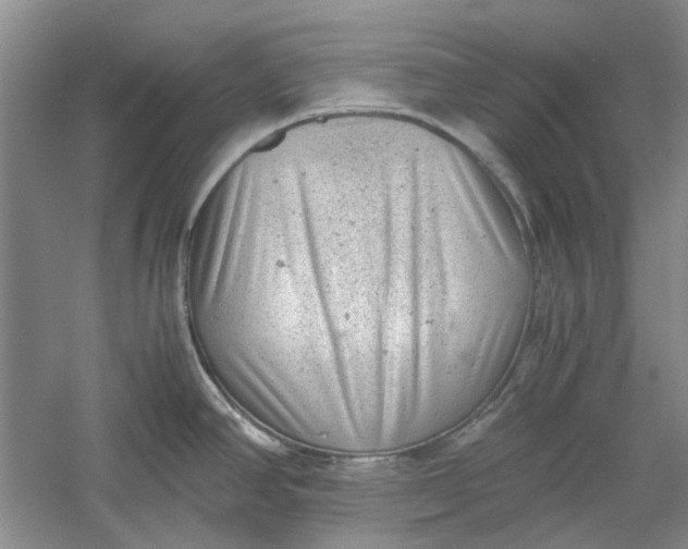 X0000060551390200511171527