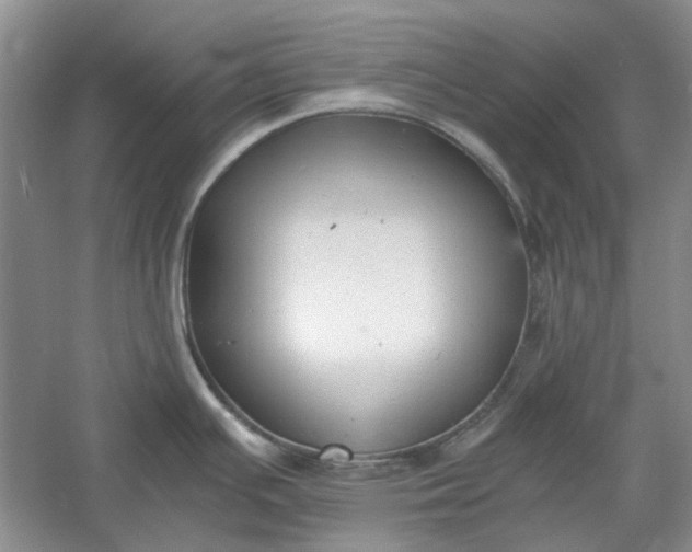 X0000060551391200511171527