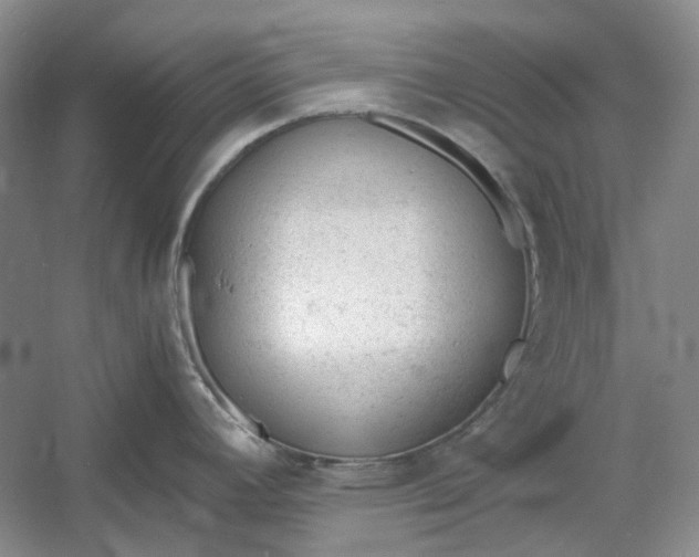 X0000060551392200511171527