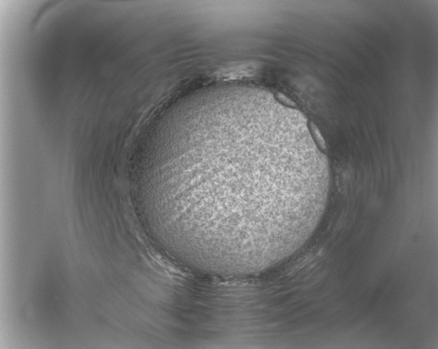 X0000060551393200511171526