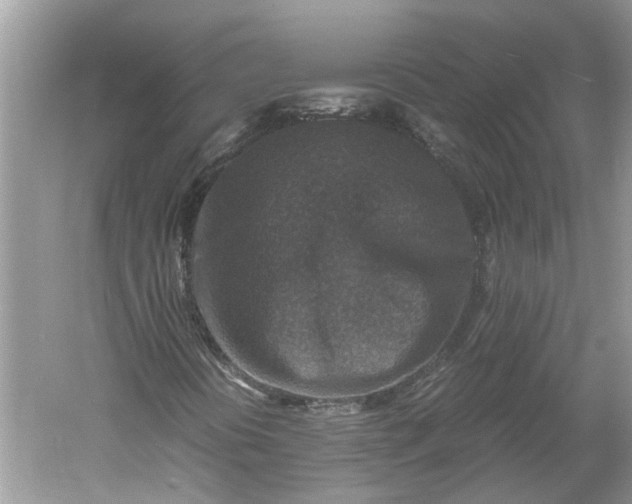 X0000060551394200511171526