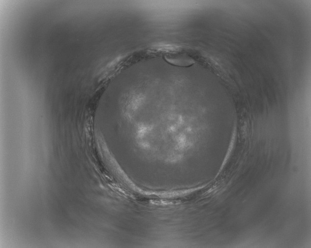 X0000060551397200511171526