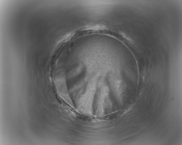 X0000060551398200511171526