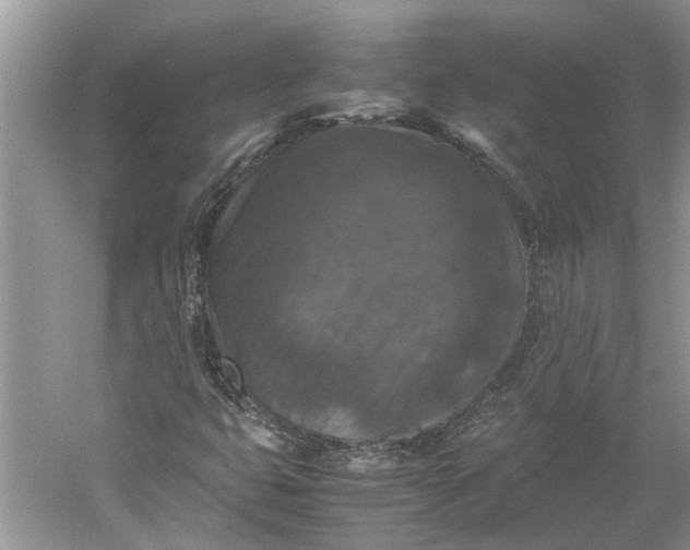 X0000060551399200511171526