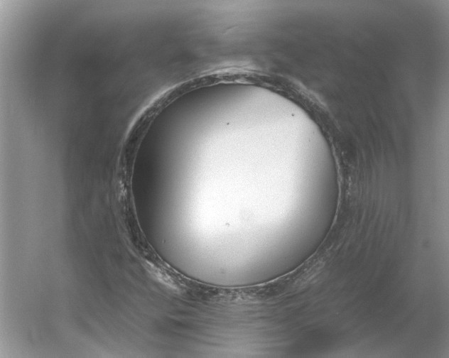 X0000060551400200511171526