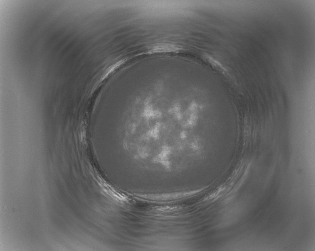 X0000060551401200511171526