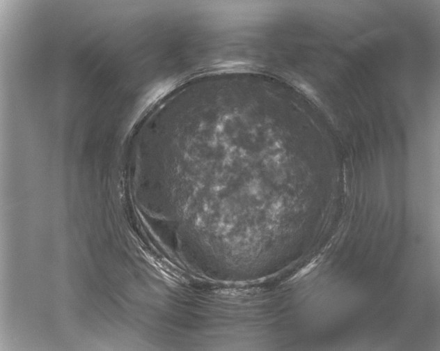 X0000060551405200511171527