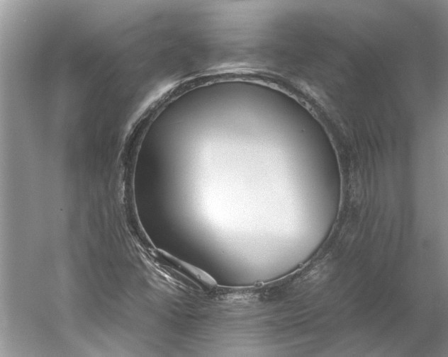 X0000060551406200511171527