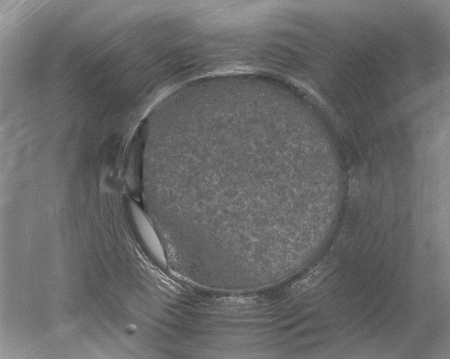 X0000060551409200511171527