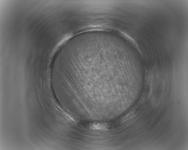 X0000060551411200511171527