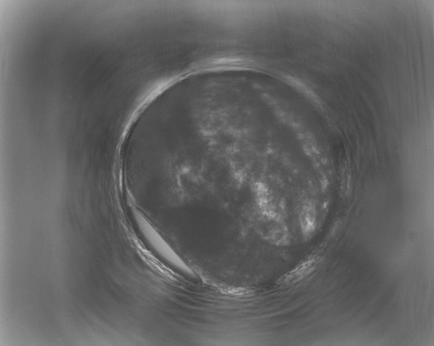 X0000060551413200511171527