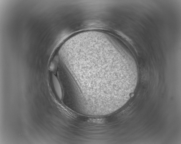 X0000060551415200511171527