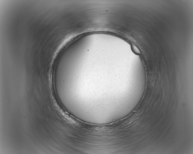 X0000060551416200511171527