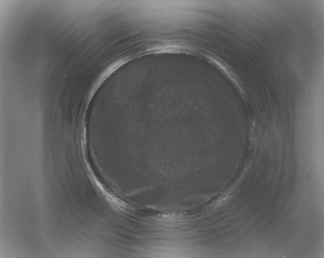 X0000060551418200511171527